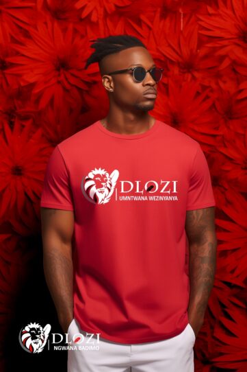 Dlozi  horizontal print t shirt