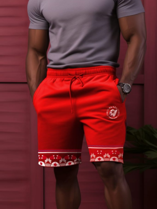 Dlozi short